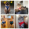 Adjustable Pet Harness Vest – Comfortable & Breathable No-Pull Harness for Dogs & Cats, Secure Fit with Reflective Straps